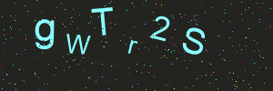 Validation image