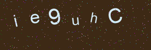 Validation image
