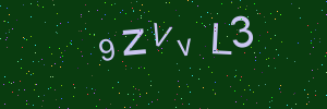 Validation image