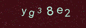 Validation image