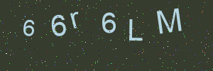 Validation image