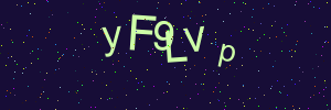 Validation image