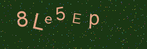 Validation image